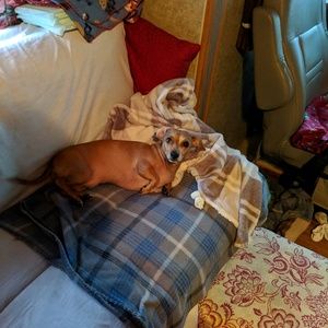 Meet your Posher, Cynthia